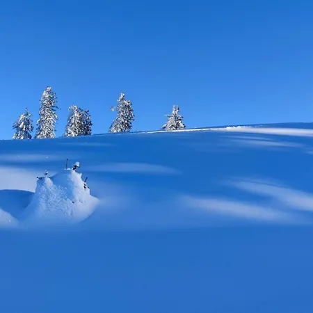 Lägenhet The Neuhaus Abtenau