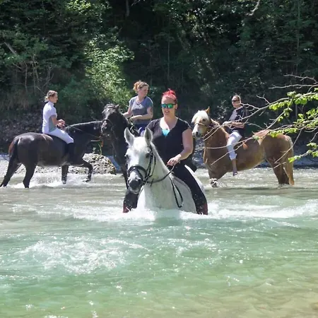 Lägenhet The Neuhaus Abtenau