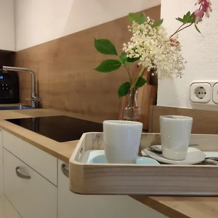 Lägenhet The Neuhaus Abtenau