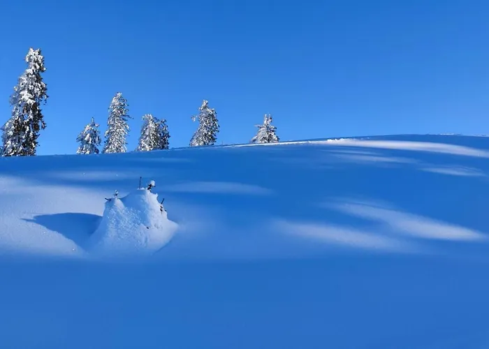 公寓 The Neuhaus 阿布特瑙