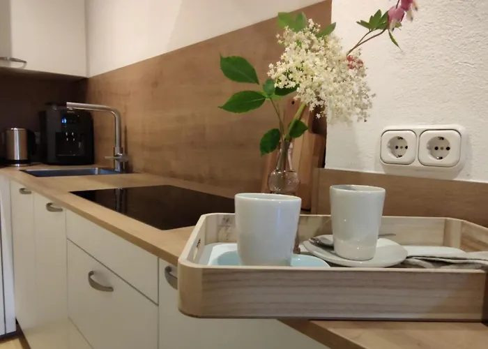 公寓 The Neuhaus *