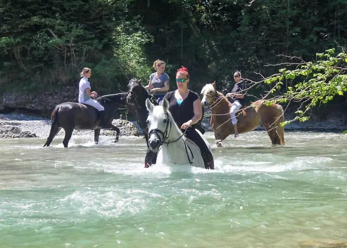 公寓 The Neuhaus 阿布特瑙