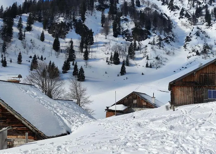 The Neuhaus 阿布特瑙